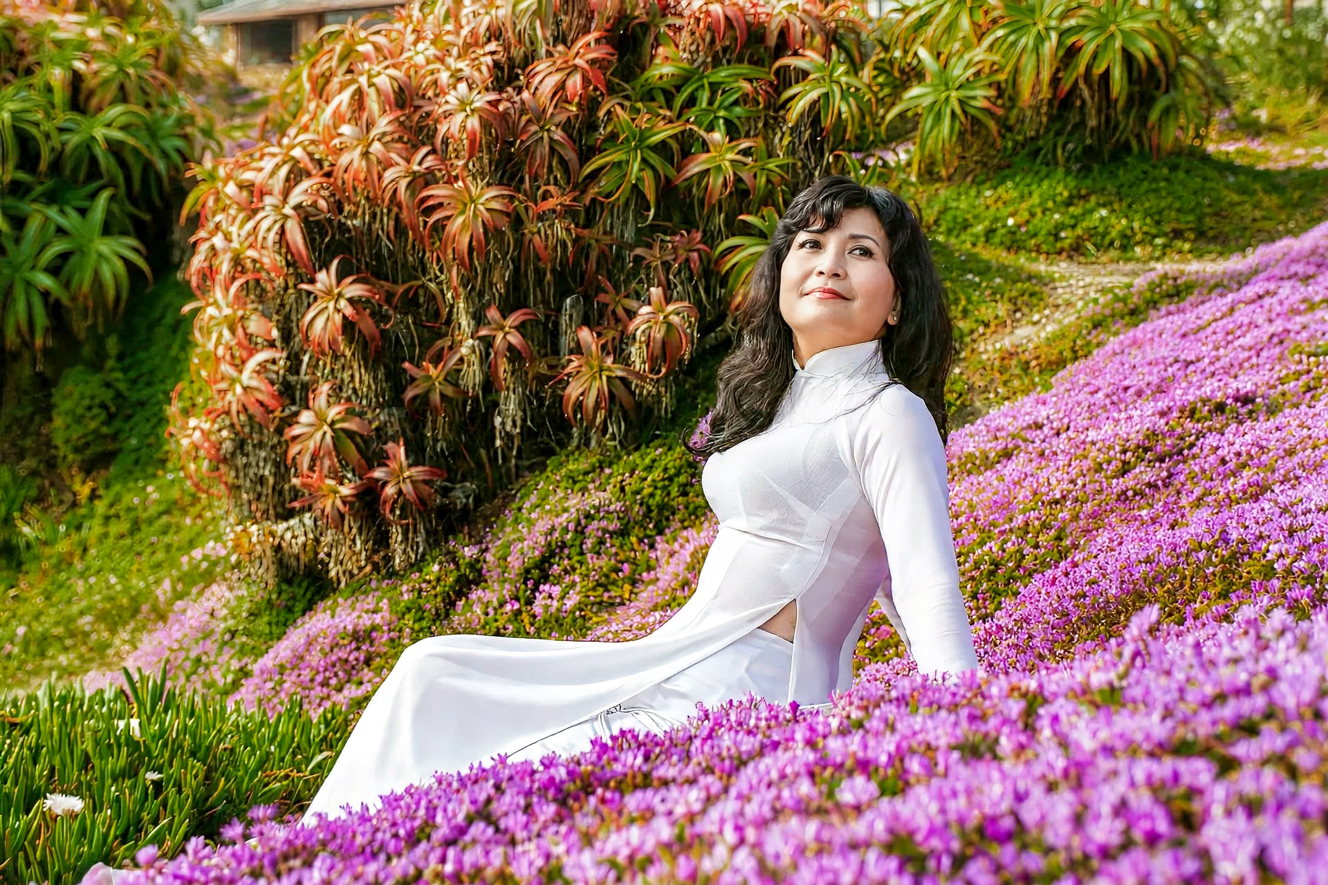 BigSur-Monterey (18)